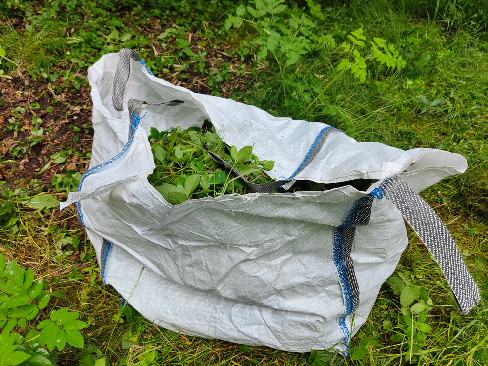 sack of balsam