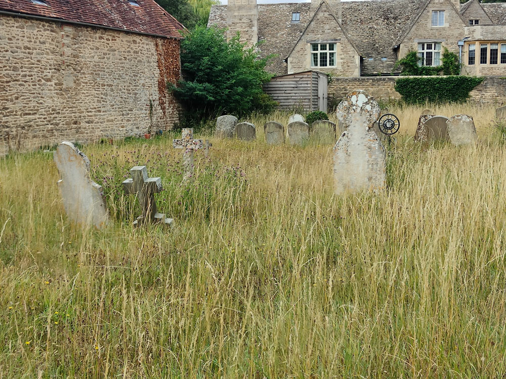 churchyard long grass