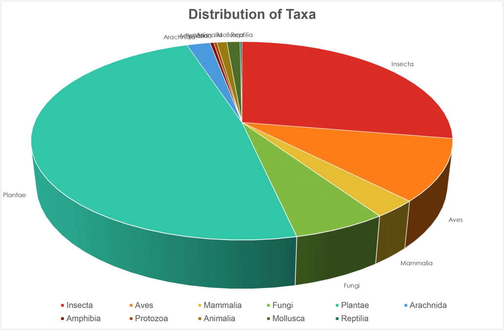 pie chart of taxa