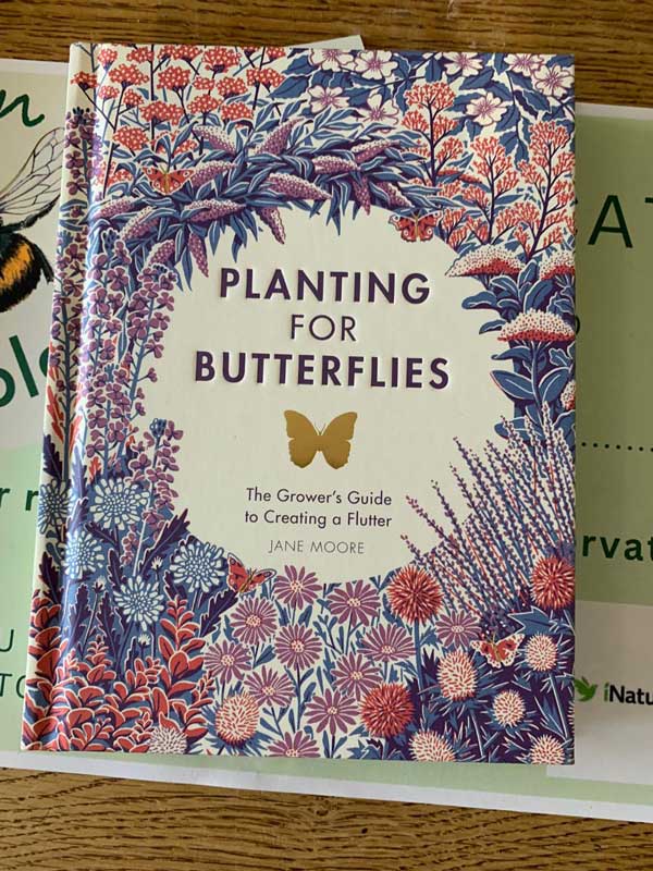planting for butterflies